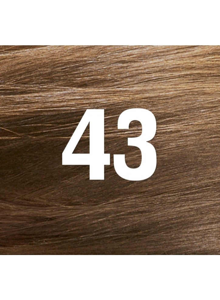 ريفلون صبغة شعر ريفلون كولور سيلك رقم 43 بني ذهبي فاتح – لون دائم بدون أمونيا مع كيراتين وتغطية كاملة للشيب - Image 3